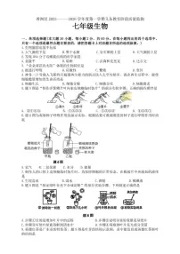 2025-2026学年广东省珠海市香洲区七年级上学期期末生物试题（含答案）