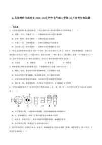 2025-2026学年山东省潍坊市高密市七年级上学期12月月考生物试卷（含答案） (1)