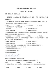 广东省汕头市潮南区陈店镇公办学校2025_2026学年七年级上学期1月期末生物试题(Y卷)（文字版，含答案）