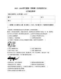 陕西省安康市部分学校2025_2026学年七年级上学期12月月考生物试题(文字版含答案)