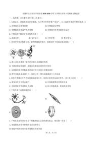 2025-2026学年安徽省蚌埠市怀远县部分学校七年级上学期1月期末考试生物试卷（含答案）