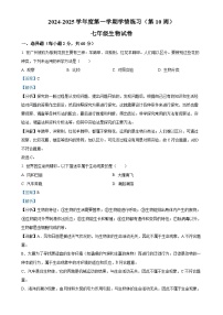 广东省茂名市高州市七年级上学期期中生物学试题（解析版）-A4