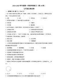 广东省茂名市高州市七年级上学期期中生物学试题（原卷版）-A4