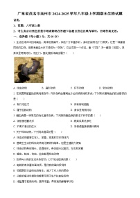 广东省茂名市高州市八年级上学期期末生物试题（原卷版）-A4