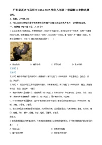 广东省茂名市高州市八年级上学期期末生物试题（解析版）-A4