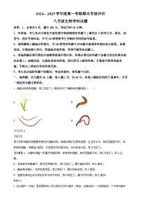 广东省江门市新会区八年级上学期期末生物试题（解析版）-A4