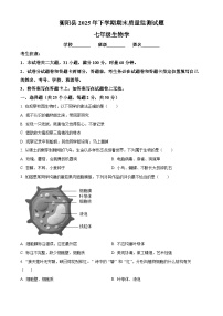 湖南省衡阳市2025-2026学年七年级上学期期末生物学试题（原卷版+解析版）