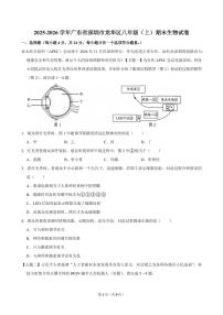 2025-2026学年深圳市龙华区八年级（上）期末生物试卷（不含答案）