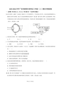 2025-2026学年深圳市龙华区八年级（上）期末生物试卷（不含答案）