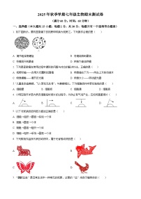 广西壮族自治区防城港市上思县2025-2026学年七年级上学期期末生物学试题（原卷版+解析版）