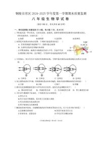安徽省铜陵市郊区2024-2025学年度第一学期期末质量监测八年级生物学试卷