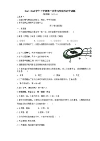 广东省梅州市兴宁市实验学校、宁江中学2024-2025学年八年级下学期3月月考生物试题-A4