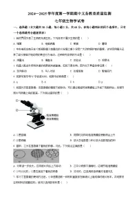 广东省江门市恩平市七年级上学期期中生物学试题（原卷版）-A4