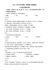 广东省江门市恩平市八年级上学期期中生物试题（解析版）-A4