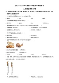 广东省江门市恩平市八年级上学期期中生物试题（原卷版）-A4