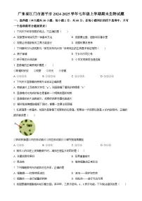 广东省江门市恩平市七年级上学期期末生物试题（原卷版）-A4