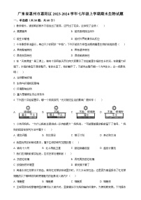 广东省惠州市惠阳区七年级上学期期末生物试题（原卷版）-A4