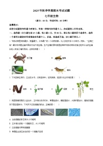 广西钦州市灵山县2025-2026学年七年级上学期期末生物学试题（原卷版+解析版）