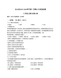 新疆维吾尔自治区和田地区皮山县2025_2026学年八年级上学期11月月考生物试题（A卷）（文字版，含答案）