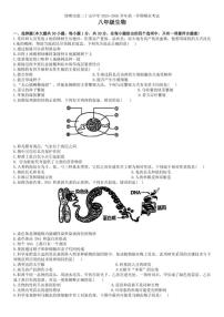 2025-2026学年河北省邯郸市第二十五中学第一学期期末考试八年级生物试题（含答案）
