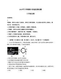 湖南省衡阳市蒸湘区2025_2026学年八年级上学期11月期中生物试题（文字版，含答案）