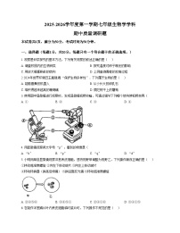 吉林省长春市二道区东北师范大学附属实验学校（经开）2025_2026学年七年级上学期11月期中生物试题（文字版，含答案）