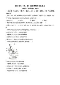 广东省东莞市厚街海月学校七年级上学期期中生物试题（原卷版）-A4