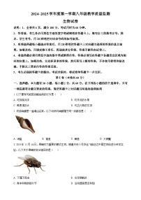 广东省汕头市金平区2024~2025学年八年级上学期期末生物试题（原卷版）-A4