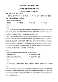 广东省汕头市潮南区八年级下学期期中生物试题（解析版）-A4