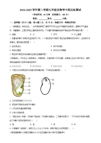 广东省广州市七年级下学期期中生物试题（原卷版）-A4