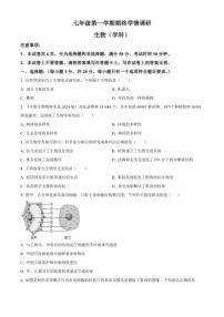 2025-2026学年河南省驻马店市西平县七年级上学期期末生物学试题