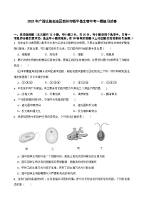 2025年广西壮族自治区贺州市昭平县生物中考一模练习试卷（含答案）