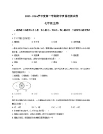 甘肃省平凉市崆峒区联考2025_2026学年七年级上学期11月期中考试生物试卷（文字版，含答案）