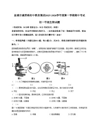 江苏省盐城市康居路初中教育集团2025_2026学年七年级上学期期中考试生物试卷（文字版，含答案）