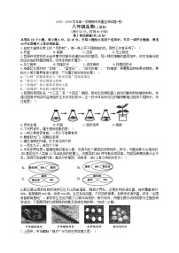 山西省临汾市部分学校2025-2026学年第一学期1月期末考试八年级生物学试卷（含答案）