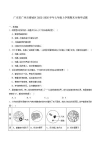2025-2026学年广东省广州市增城区七年级上学期1月期末考试生物试卷（含答案）