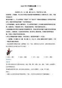 2025年广东省湛江市中考一模生物试题（解析版）-A4