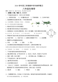 2024学年第二学期期中学科素养展示八年级生物学试卷-A4