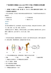 广东省揭阳市榕城区八年级上学期期末生物试题（解析版）-A4