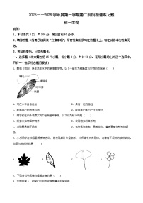 山东省烟台市莱山区2025-2026学年七年级上学期期末生物学试题（含解析）