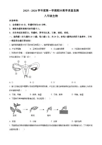 河北省保定市高碑店市2025-2026学年八年级上学期期末生物学试题（原卷+解析）