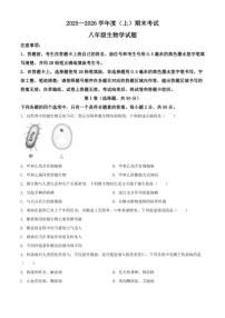 2025-2026学年四川省成都市龙泉驿区八年级上学期期末生物学试题（含解析）