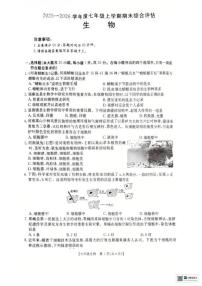 2025-2026学年河南商丘市永城市度七年级上学期期末综合评估生物试卷（含答案）