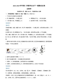 2025年广东省中山市中山纪念中学教育集团八年级中考一模生物试题（解析版）-A4