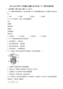 广东省湛江市廉江市七年级下学期期中生物试卷-A4