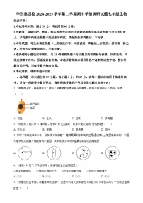 广东省深圳华中师大附中集团七年级下学期期中生物试题-A4