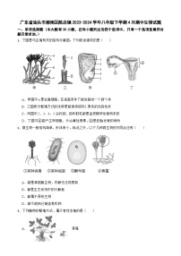 广东省汕头市潮南区陈店镇八年级下学期4月期中生物试题-A4