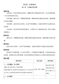 初中生物人教版（2024）八年级下册（2024）第二节 生物进化的历程表格教学设计