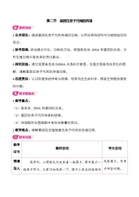 初中生物人教版（2024）八年级下册（2024）第二节 基因在亲子代间的传递表格教案设计