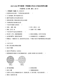 安徽省池州市青阳县2025-2026学年七年级上学期期末生物学试题（试卷+解析）